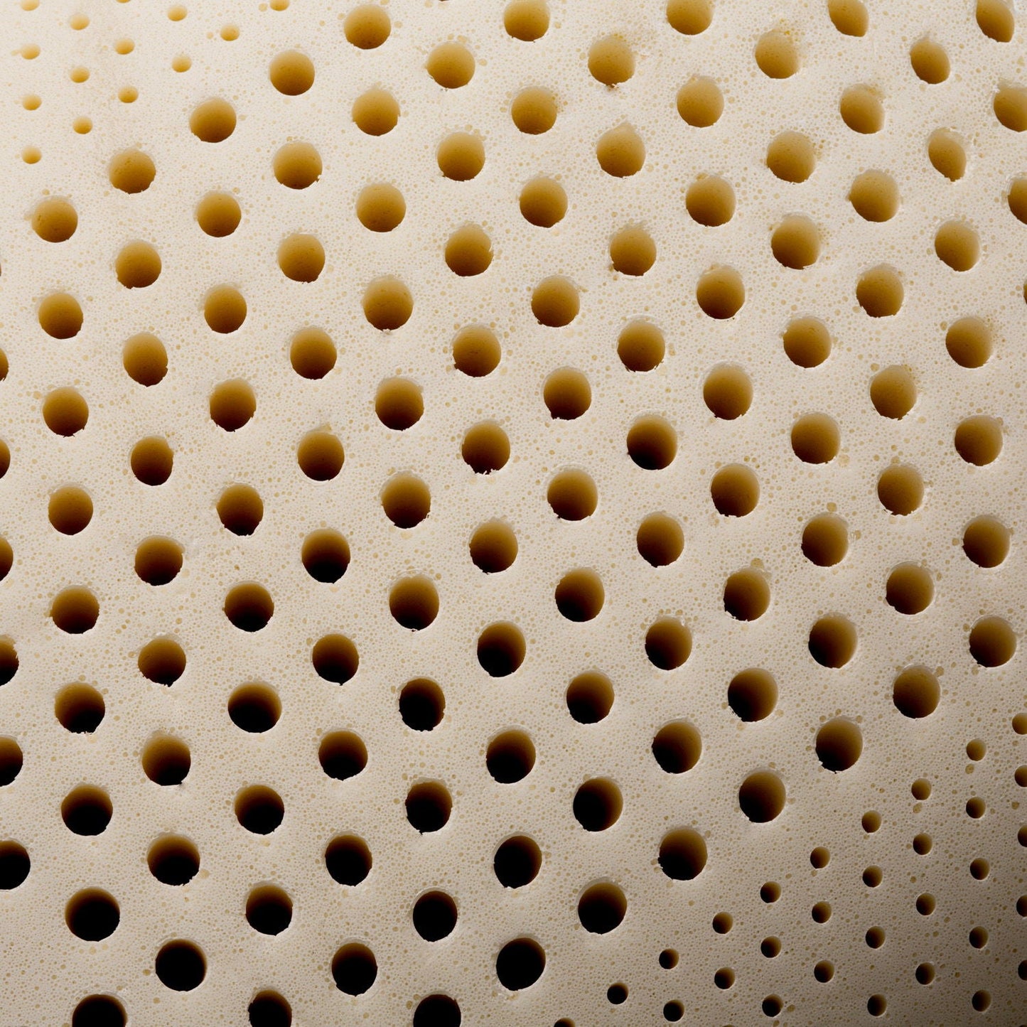 Zoned Talalay Latex - Plush Pillow Malouf