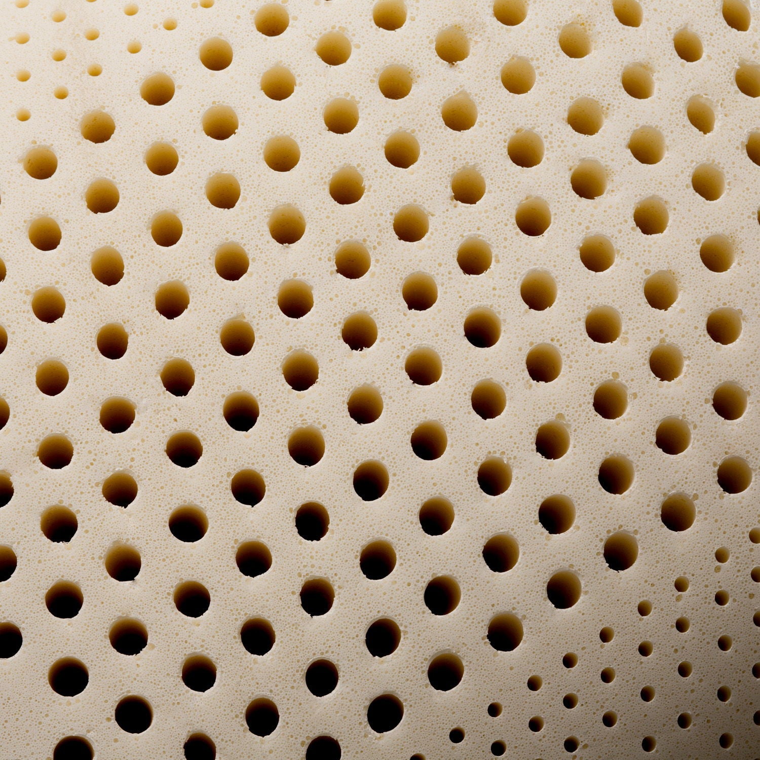 Zoned Talalay Latex - Plush Pillow Malouf