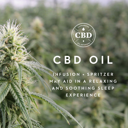 Shoulder Zoned Dough + Cannabidiol Infusion - Pillow Malouf