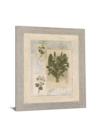 Vintage Botanical - 28" x 34" Framed Wall Art Classy Art