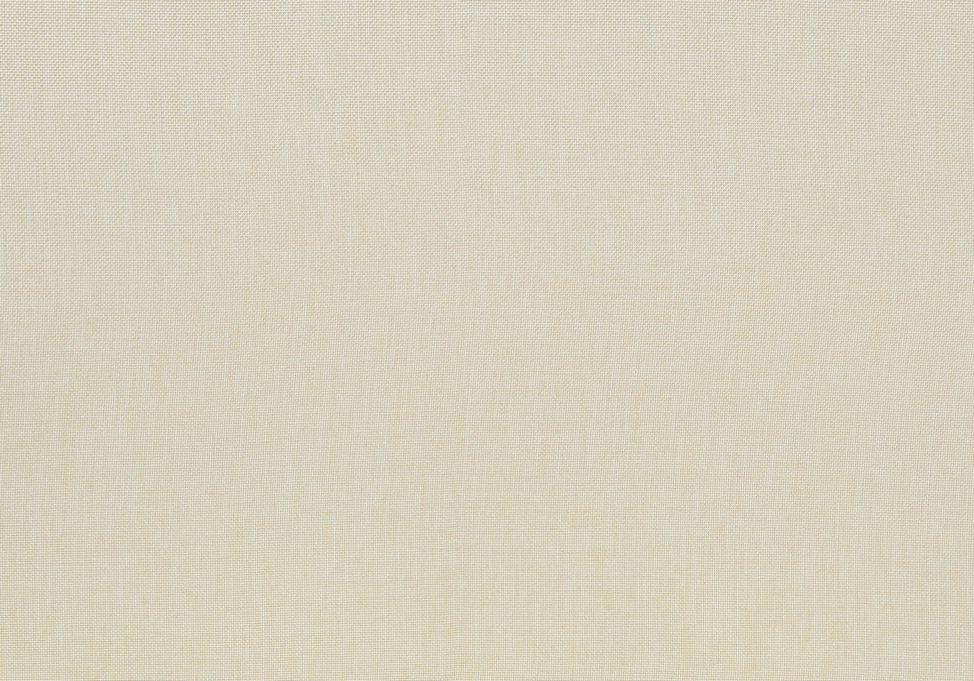Dining Chair, Upholstered, Dining Room, Transitional (Set of 2) - Cream 8th Street