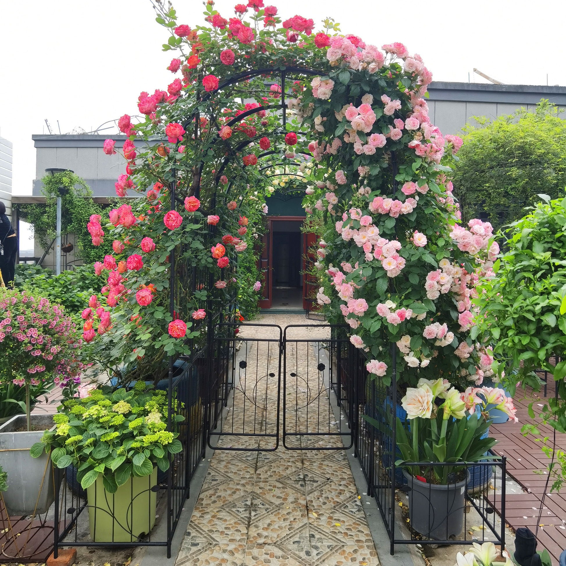 Metal Garden Arch With Two Plant Stands Wide High Climbing Plants Support Rose Arch Outdoor - Black Daily Nest