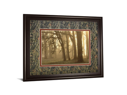 Woodland Sweep By Dennis Frate - Framed Print Wall Art - Black