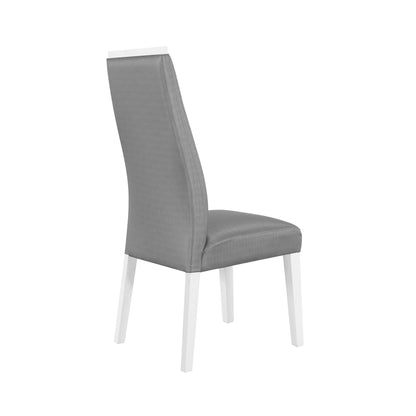 Moon - Dining Chairs (Set of 2) - Gray Global Furniture USA