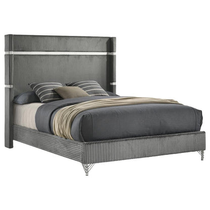 Lucia - Upholstered Wingback Bed Coaster Fine Furniture
