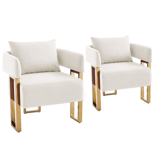 Modern Classic Design Decorative Chair Teddy Fleece Upholstered And Metal Foot Home Essentials