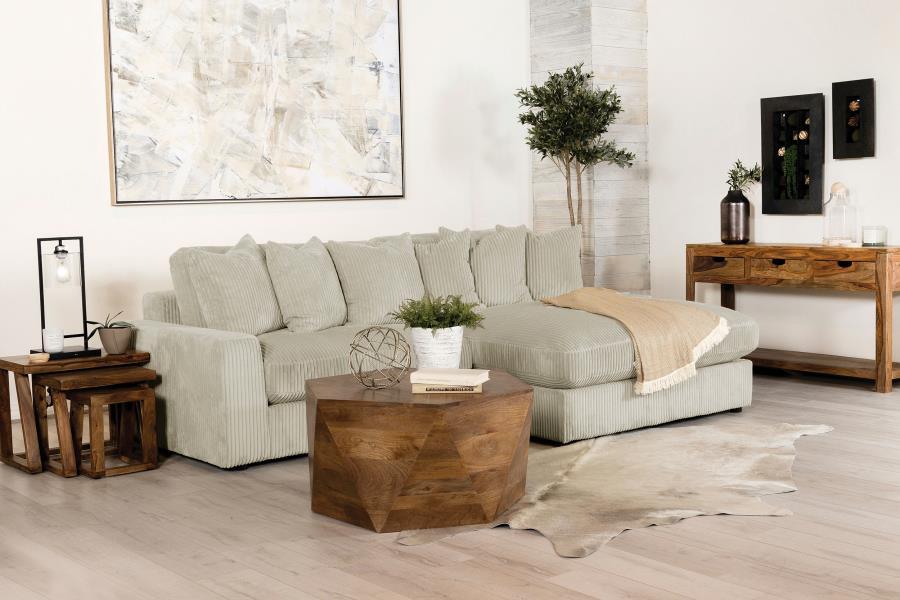Blaine - Upholstered Reversible Chaise Sectional Sofa Coaster Fine Furniture