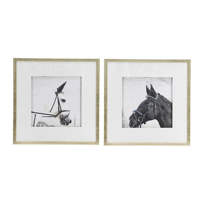 Wall Art Horse Animal Printing, Wall Decor Accent (Set of 2) - Golden / White