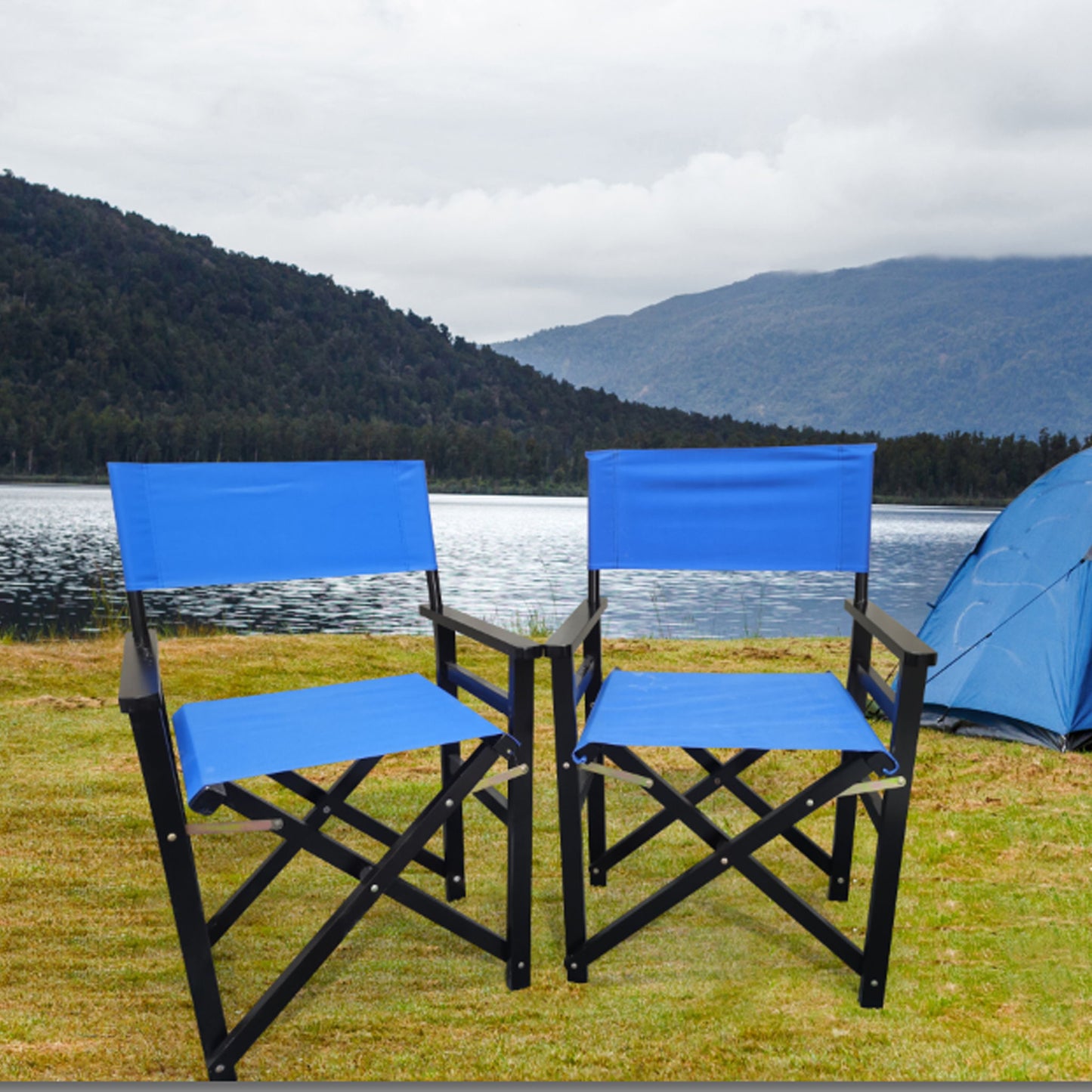 Folding Director Chair Canvas Home Essentials