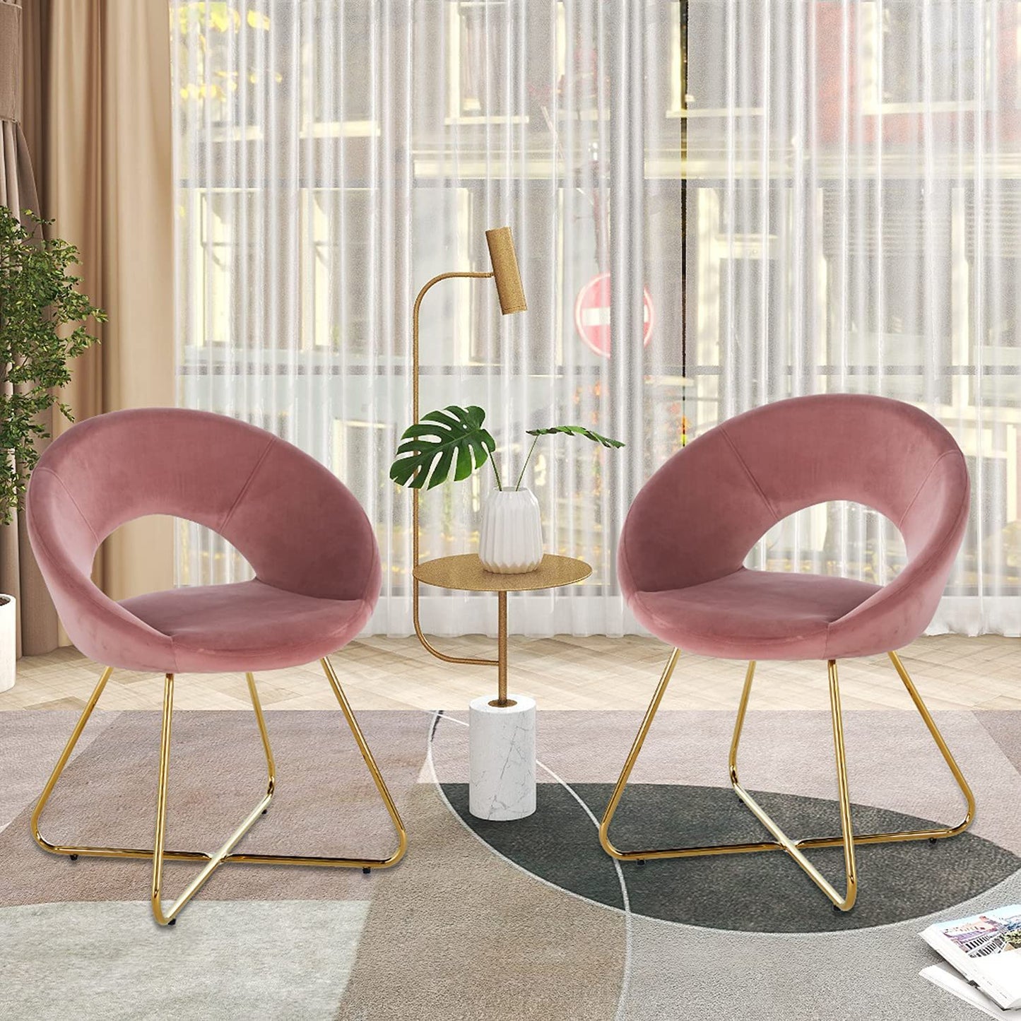 Modern Accent Velvet Chair (Set of 2) Home Essentials
