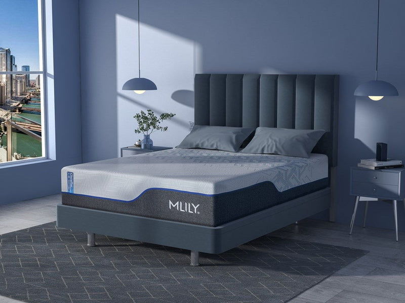 ChiroPro 3.0 Plush Mattress MLILY