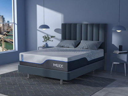 ChiroPro 3.0 Plush Mattress MLILY