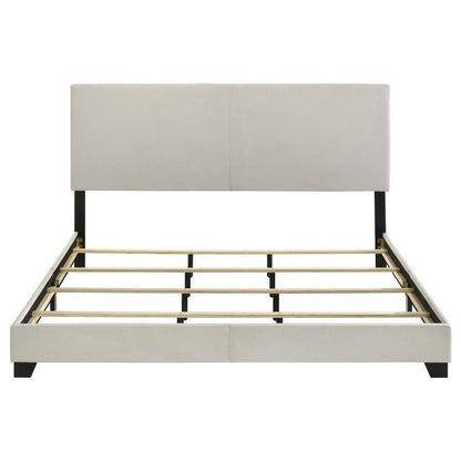 Dorian - Upholstered Panel Bed CoasterEveryday