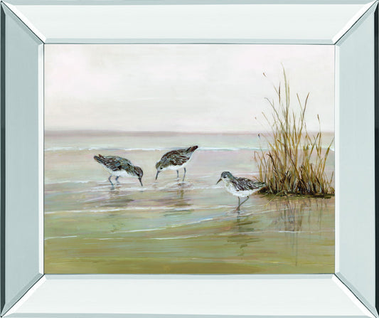 Early Risers Il By Sally Swatland - Mirror Framed Print Wall Art - Beige