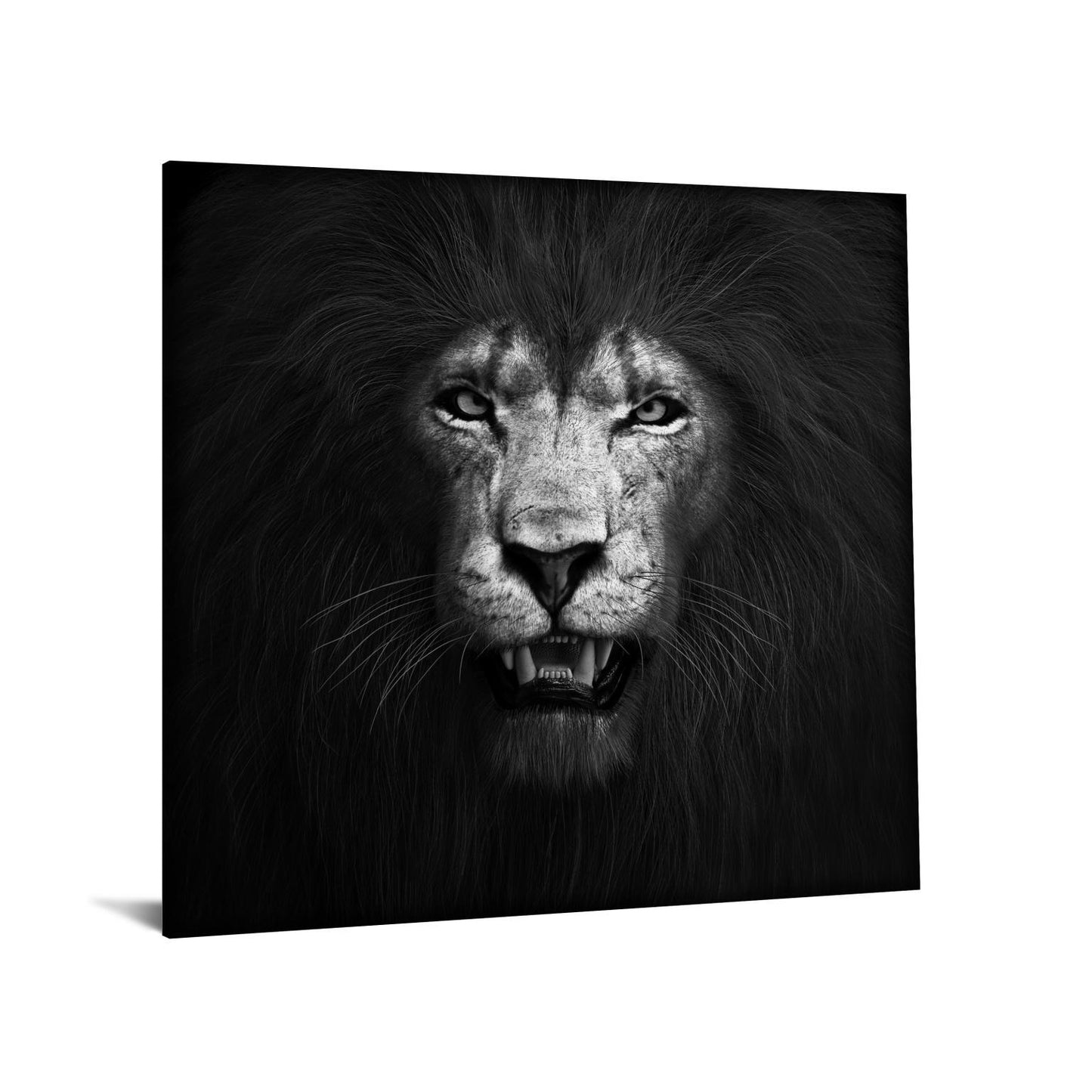 Tempered Glass With Foil - Lion B & W - Black