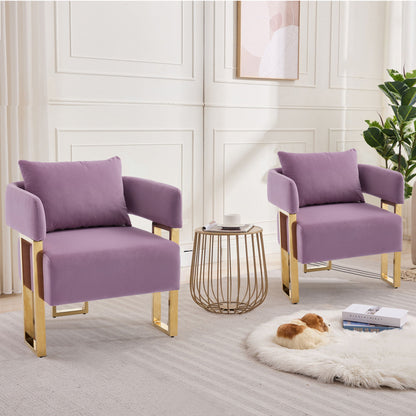 Modern Decorative Chair Teddy Fleece Upholstered And Metal Foot Home Essentials
