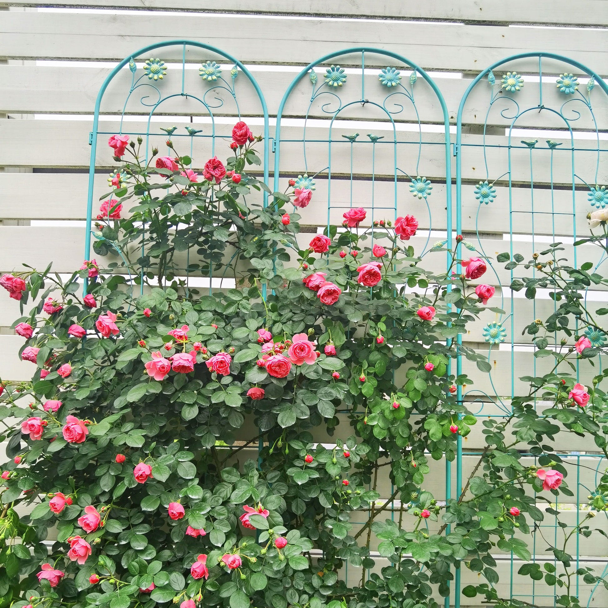 Metal Garden Trellis Rustproof Trellis For Climbing Plant Outdoor Flower Support Daily Nest