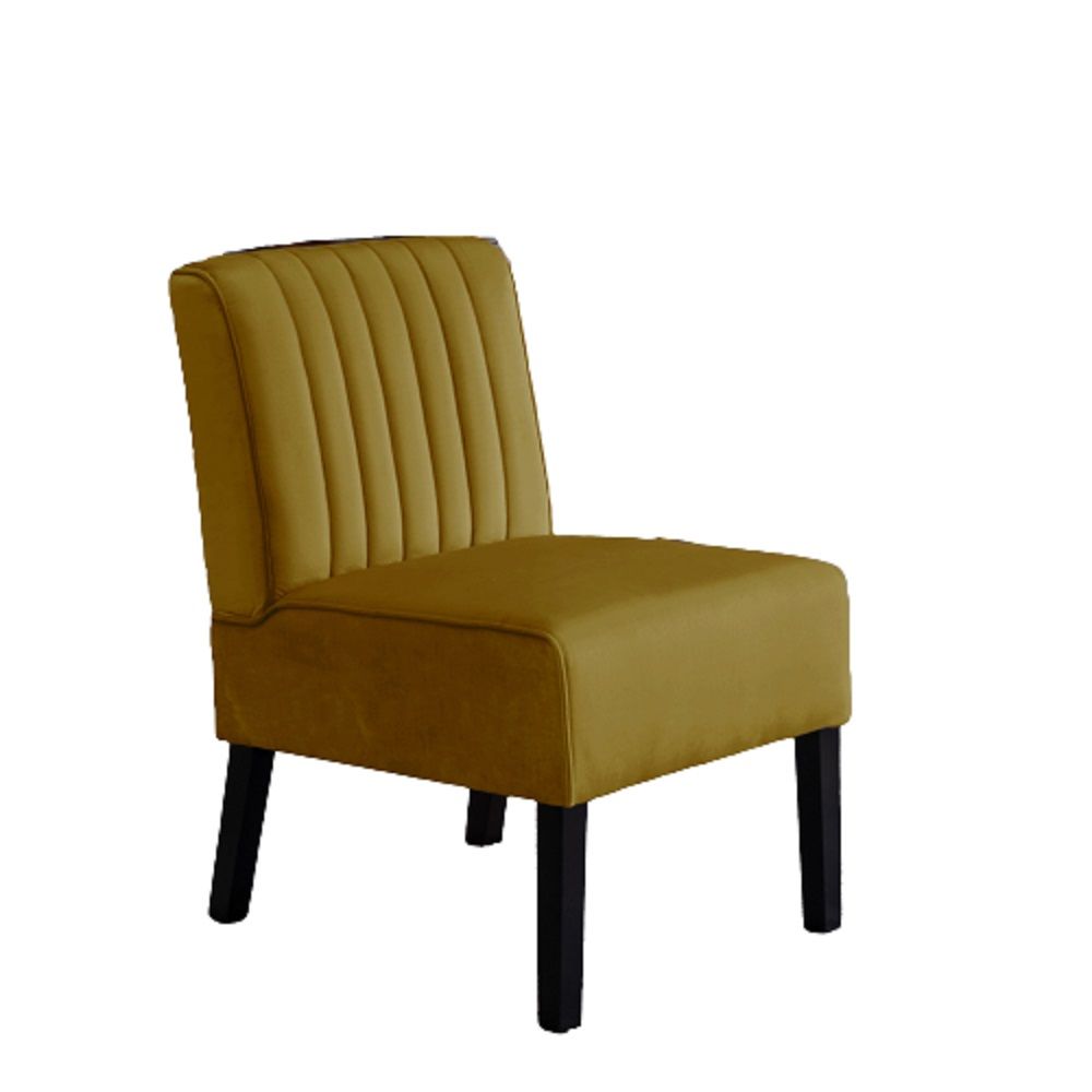 Reese - Mid-Century Modern Accent Chairs With Minimalist Design (Set of 2) US Pride