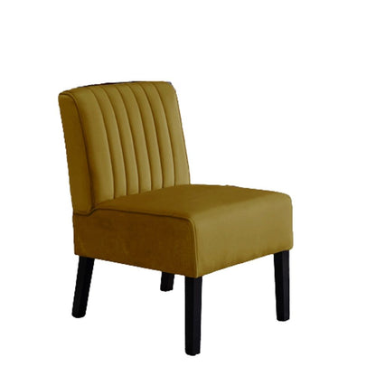 Reese - Mid-Century Modern Accent Chairs With Minimalist Design (Set of 2) US Pride