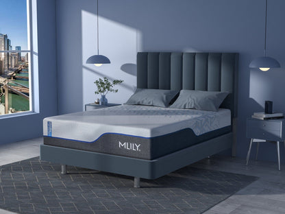 ChiroPro 1.0 Firm Mattress - Full MLILY