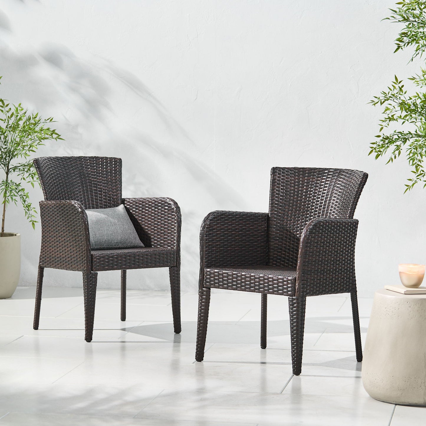 Anaya - Outdoor Wicker Dining Armchair (Set of 2) Noble House