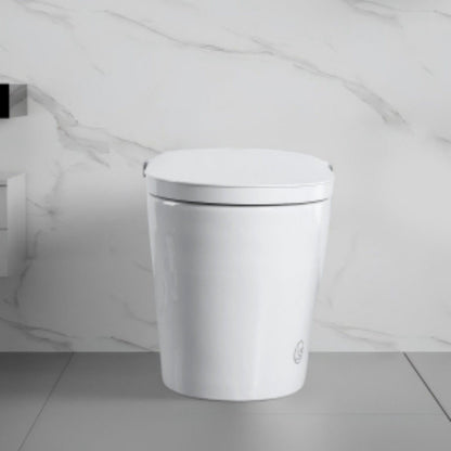 Tankless Smart Toilet With Bidet Built In, 1 Piece, Auto Flush, Auto Open / Close, Heated Seat, Bubble Wash, Warm Water And Dry, Adjustable Temp, Remote Control Side Know - White Daily Nest