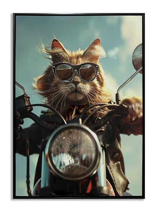 Wind Rider Cat - 21" x 29" Framed Wall Art Classy Art
