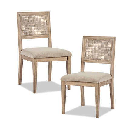 Modern Armless Dining Chair With Cane Back (Set of 2) JLA