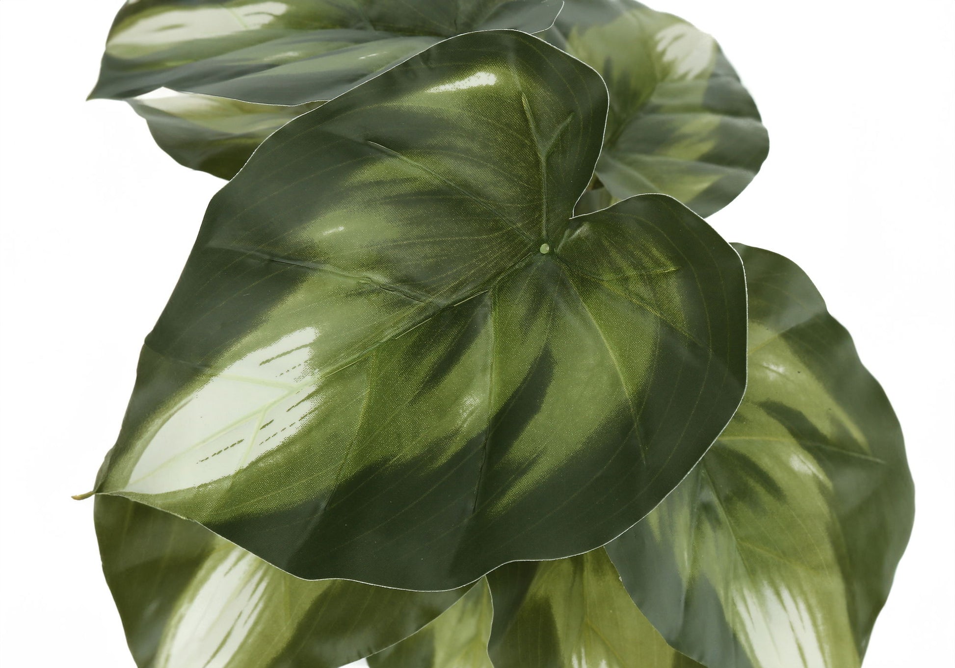 13" Tall, Artificial Plant, Monstera Calthea, Indoor, Faux, Fake, Table, Greenery, Potted, Decorative (Set of 2) - Green / Black 8th Street