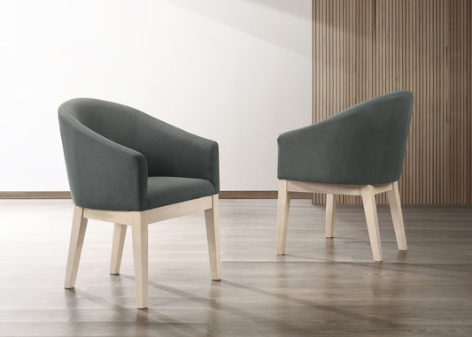 Neroli - Barrel Accent Chair (Set of 2) - Gray Lilola Home