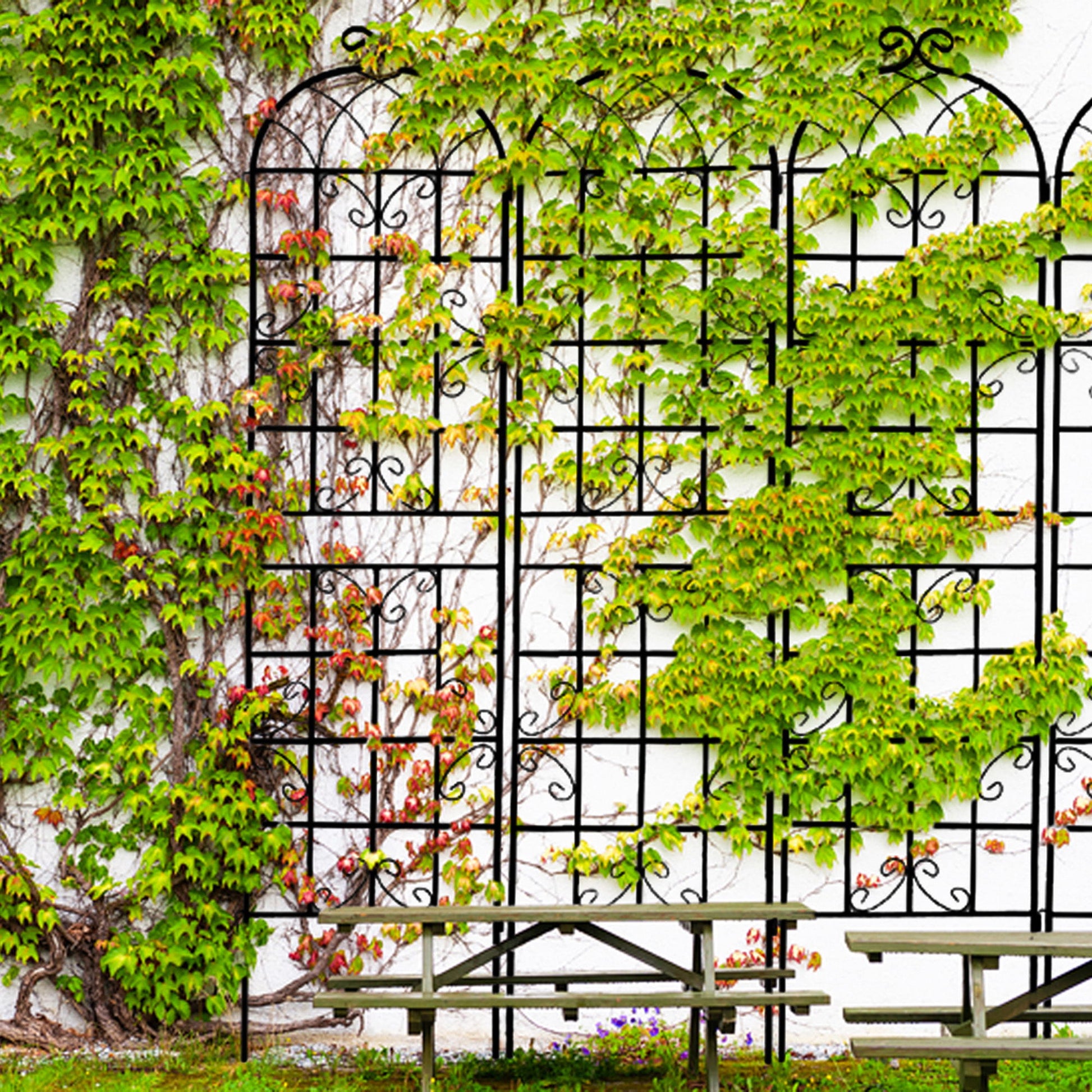 Metal Garden Rustproof Trellis For Climbing Plants Outdoor Flower Support Daily Nest