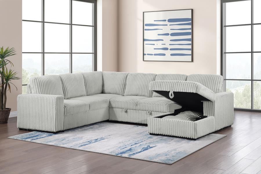 Devonshire - Sleeper Sectional Sofa Storage Chaise Coaster Fine Furniture