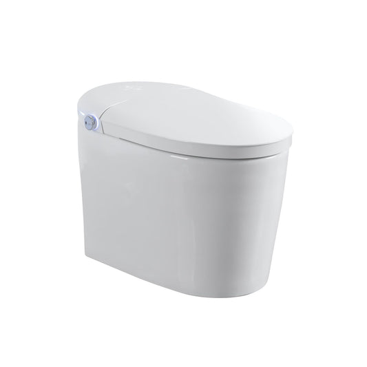 Tankless Smart Toilet With Bidet Built In, 1 Piece, Auto Flush, Auto Open / Close, Heated Seat, Bubble Wash, Warm Water And Dry, Adjustable Temp, Remote Control Side Know - White Daily Nest