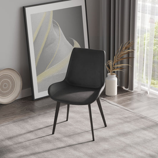 Modern Dining Chair Living Room Metal Leg Dining Chair (Set of 2) Home Essentials
