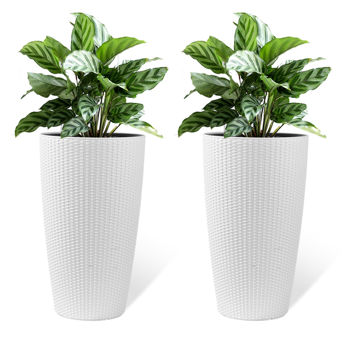 Tall Planters Set With Water Level Monitor And Auto Watering Daily Nest