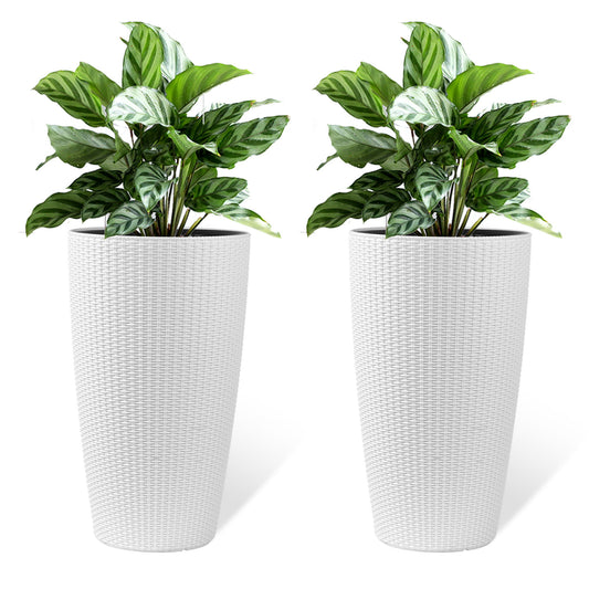 Tall Planters Set With Water Level Monitor And Auto Watering Daily Nest