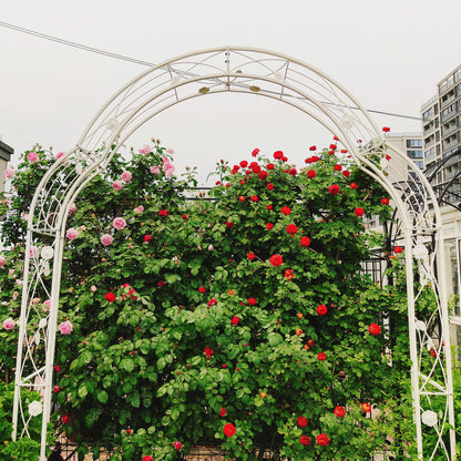 Metal Garden Arch Assemble Freely With 8 Styles Garden Arbor Trellis Climbing Plants Support Rose Arch Daily Nest