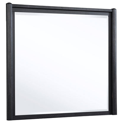 Leandro - Dresser Mirror - Burnished Black Coaster Fine Furniture