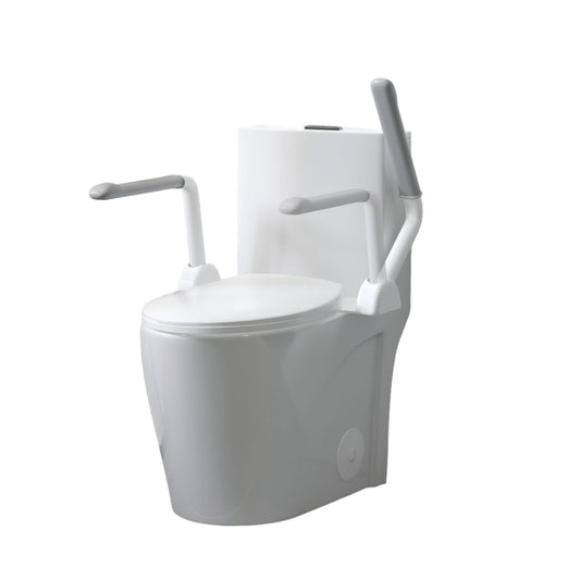 Upgraded Design Armrest, With Glossy Gw 007 1 Piece Toilet With Tornado Flush, Soft Close Seat, Dual Flush Map 1000G, Comfort Chair Seat - Gloss White Daily Nest