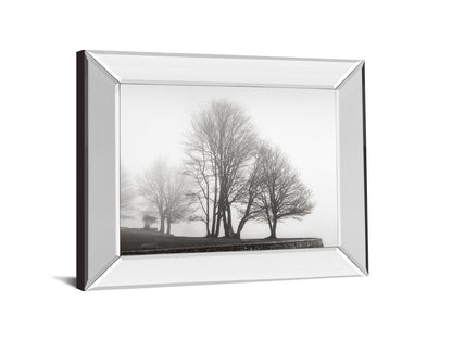 Fog And Trees At Dusk By Lsh - Mirror Framed Print Wall Art - Dark Gray