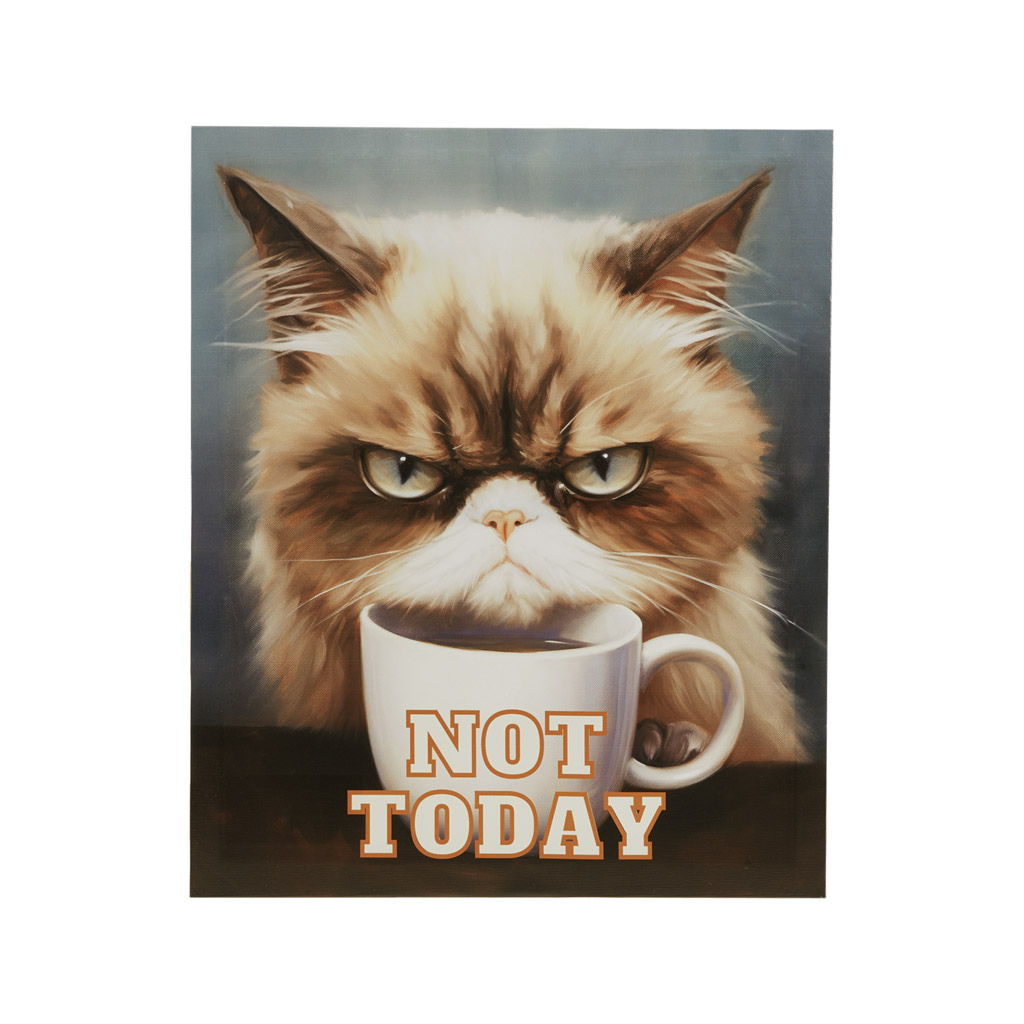 Grumpy Cats - Not Today Canvas Wall Art - Multi