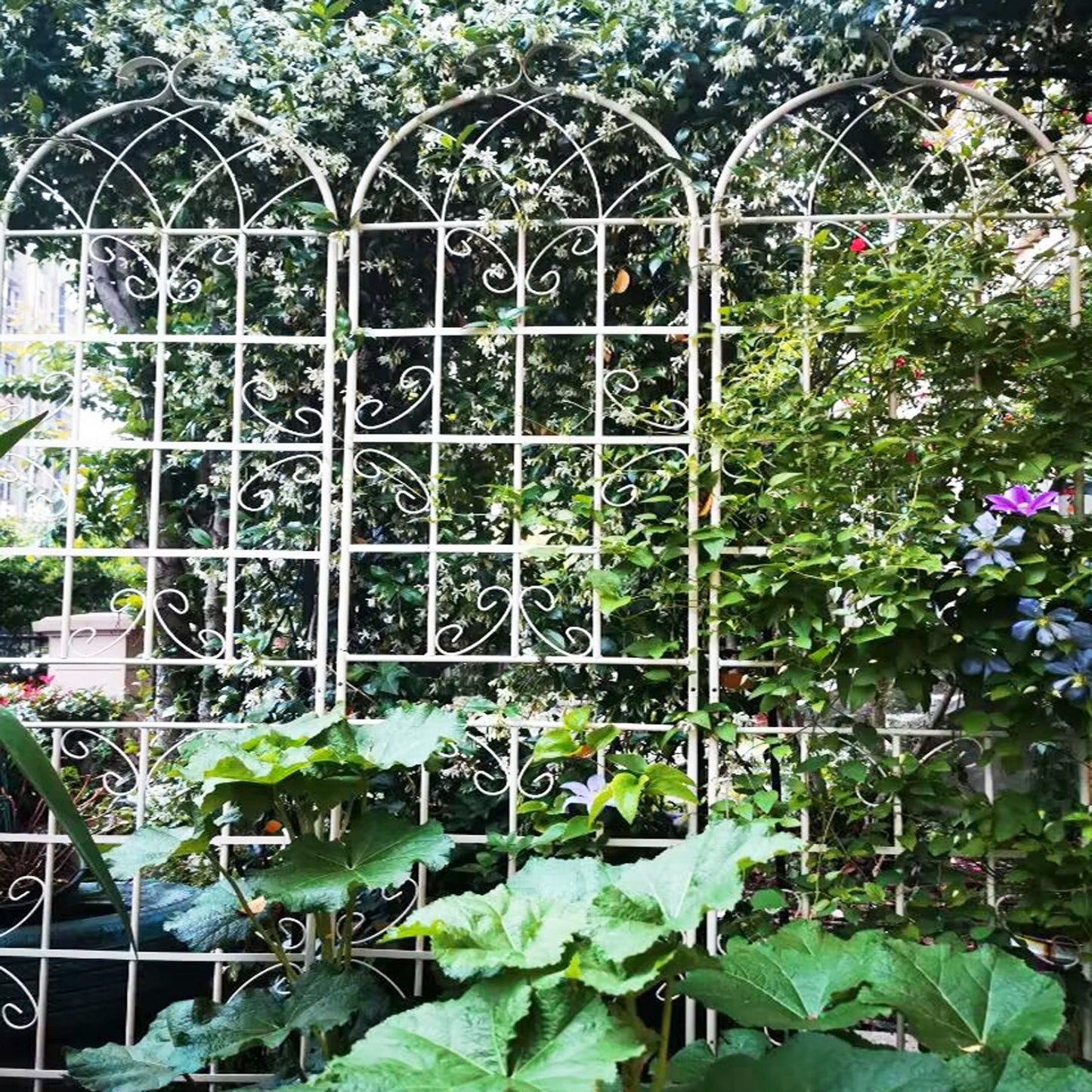 Metal Garden Rustproof Trellis For Climbing Plants Outdoor Flower Support Daily Nest