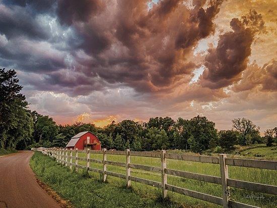 Colorful Country Clouds By Dakota Diener (Small) - Dark Green