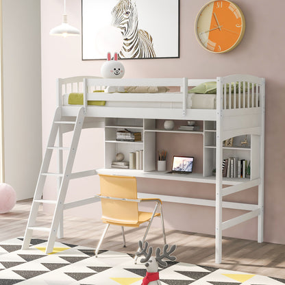 Loft Bed With Storage Shelves, Desk And Ladder DreamHaus