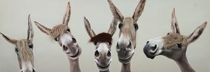 Whimsical Brows - 20" x 60" Framed Wall Art Classy Living