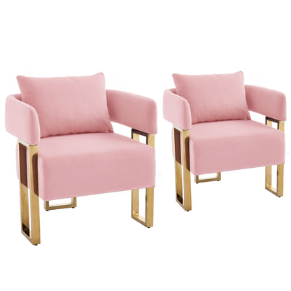 Modern Classic Design Decorative Chair Teddy Fleece Upholstered And Metal Foot Home Essentials