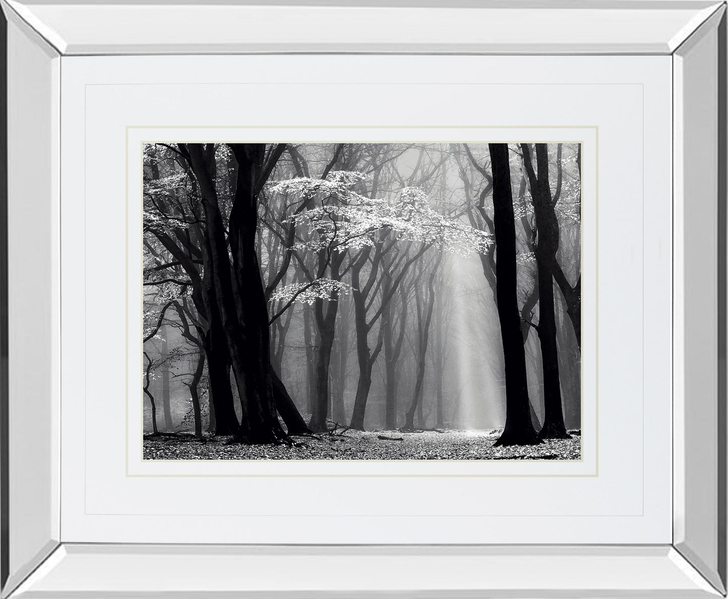 Winter Is Coming By Lars Van De Goor - Mirror Framed Print Wall Art - Black