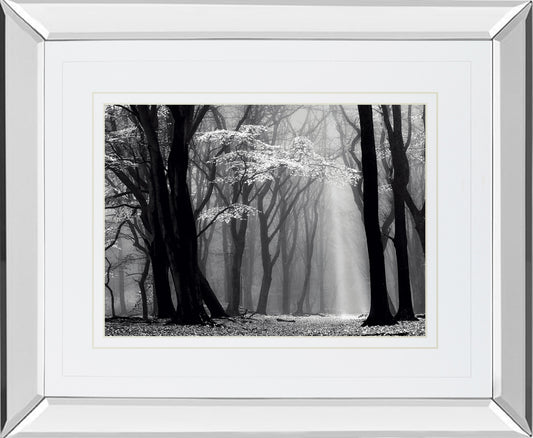 Winter Is Coming By Lars Van De Goor - Mirror Framed Print Wall Art - Black