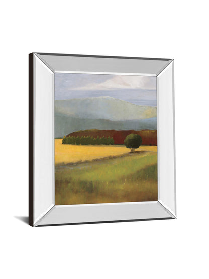 Field Of Gold By Judith D'agostino - Mirror Framed Print Wall Art - Green