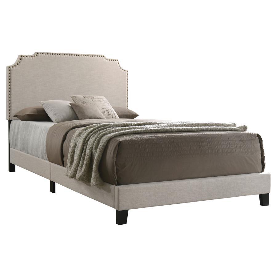 Tamarac - Upholstered Panel Bed CoasterEveryday